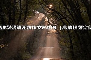 跟谁学张镇无忧作文2019