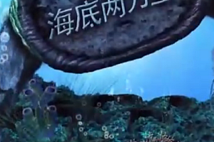 海底两万里阅读大闯关