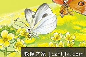 昆虫课堂