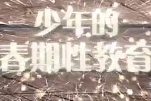 少年的青春期性教育课